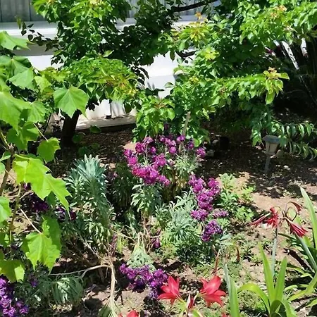 Ξενοδοχείο Paradise