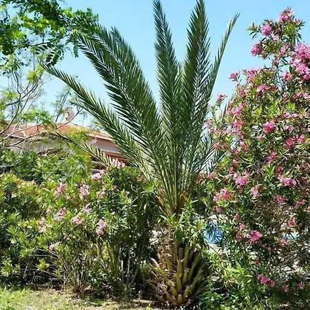 Paradise 3* Kazaphani