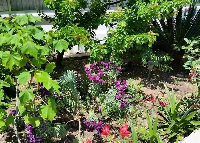 Ξενοδοχείο Paradise