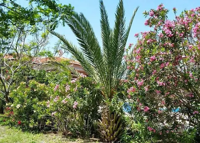 Paradise 3* Kazaphani