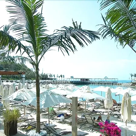 Paradise 3*